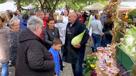 vecsési káposztafeszt|Káposzta minden formában! 